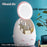 LED HD Mirror Makeup Storage Box Cosmetic Organizer Case