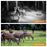 Hunting Camera GSM 12MP 1080P Photo Traps Night Vision