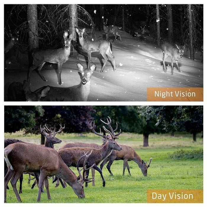 Hunting Camera GSM 12MP 1080P Photo Traps Night Vision